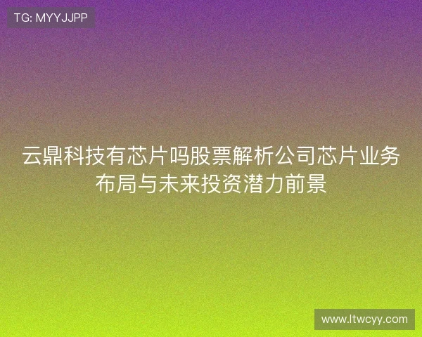 云鼎科技有芯片吗股票解析公司芯片业务布局与未来投资潜力前景
